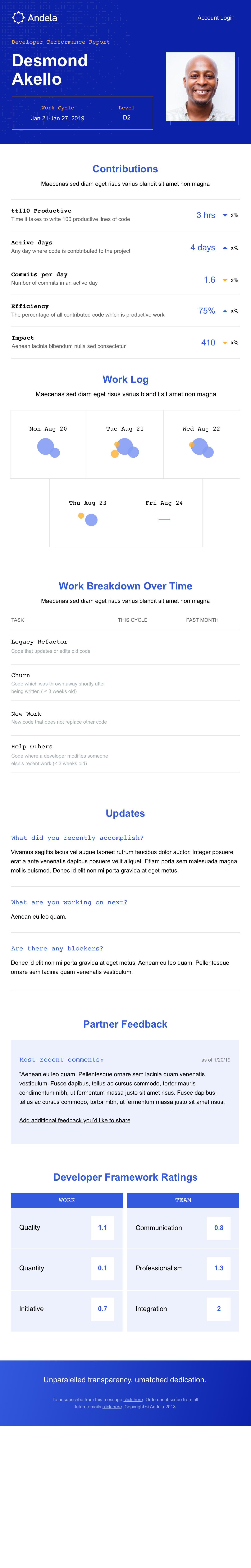 Email v1 partner report — contributions, work log bubbles, work breakdown bar chart with percentage labels, updates section, partner feedback callout, and developer framework ratings